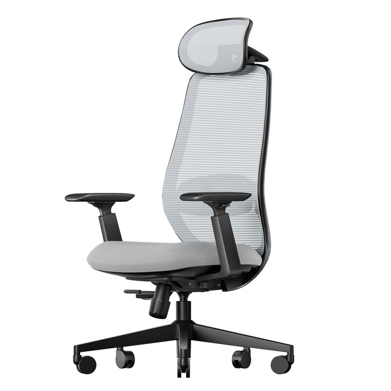 Chaise de bureau ergonomique ProtoArc Casden à dossier mi-haut en maille, avec accoudoirs rembourrés multiréglables, dossier en maille respirante, réglage et blocage de l'inclinaison, pivotante à 360°, pour la maison et le bureau (gris).