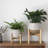 Tierney Pot Planter-1086492970-1087343025
