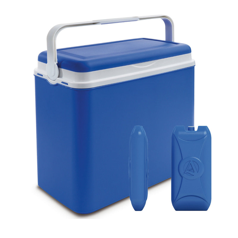 Wayfair Basics™ 24L Handheld Cooler, Blue