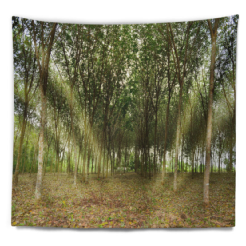 Paysage avec plantation d'hévéa pendant la tapisserie de midi, H 32 po x l 39 po