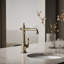 Artifacts® Bar Faucet-93465839