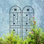 Treillis en métal 71 po x 19,7 po, paquet de 2, antirouille pour les vignes de gloire du matin en plein air, noir, assemblage simple et ensemble de plantes grimpantes durables, à assembler, fabrication robuste
