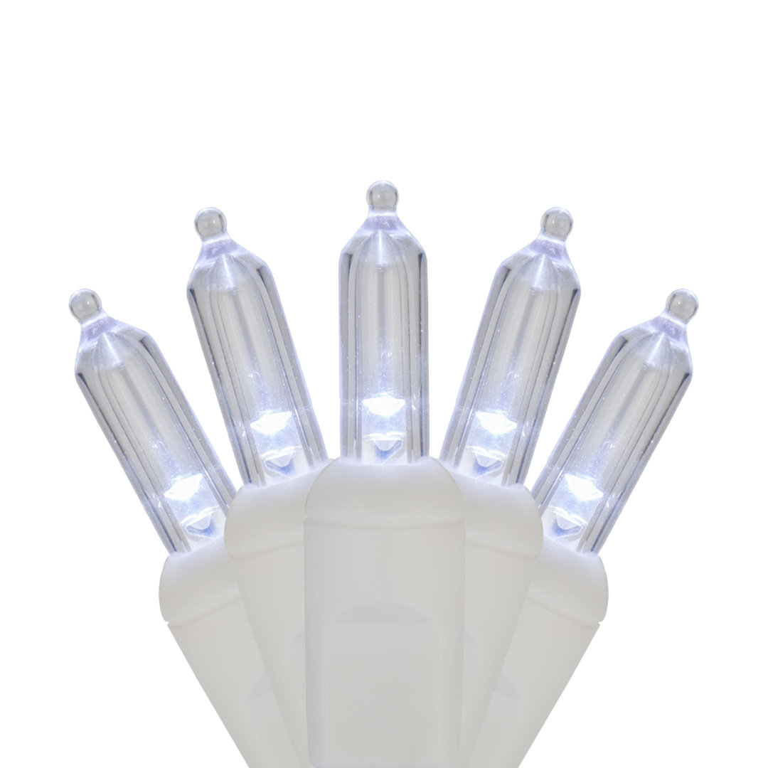 50-Light LED Indoor-Outdoor Mini String Lights (End to End Connectable) The Holiday Aisle® 