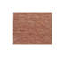 Hand-Knotted High-Quality Rust Area Rug