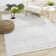 Didimo Gray Tonal/Solid Polyester Living Room Carpet
