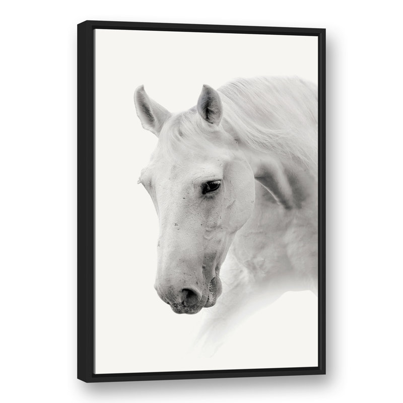 Cheval noir et blanc, reproduction sur toile, H 37,75 po x l 25,75 po