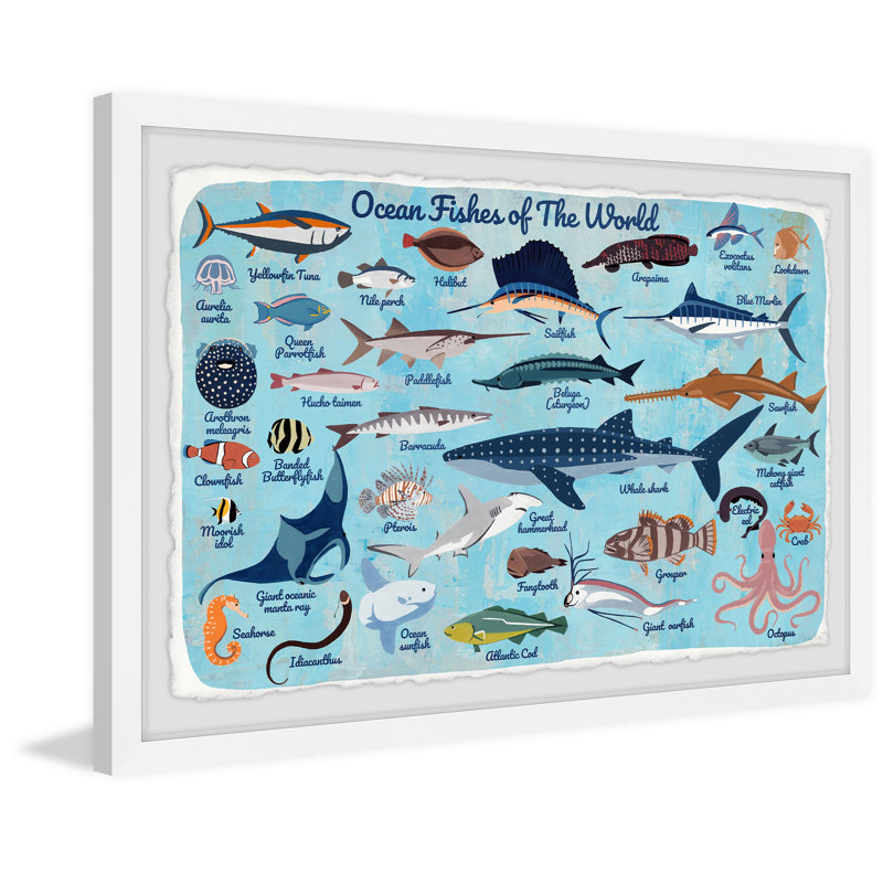 Paloma Deep Sea Fishes Framed Print, 12" H x 18" W x 1.5" D
