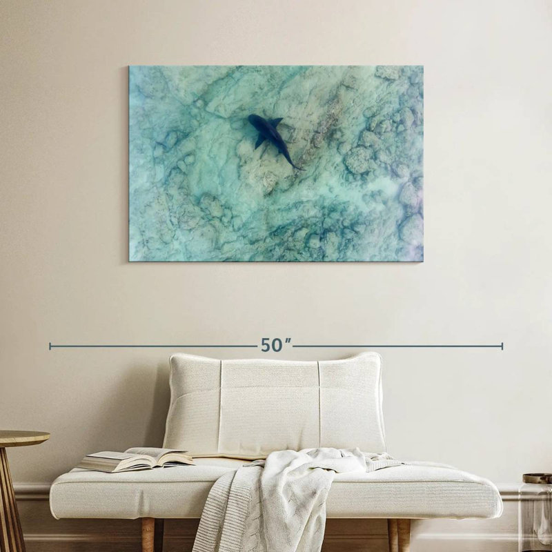Brampt Sea Of Cortez Bull Shark, 26" H x 39" W