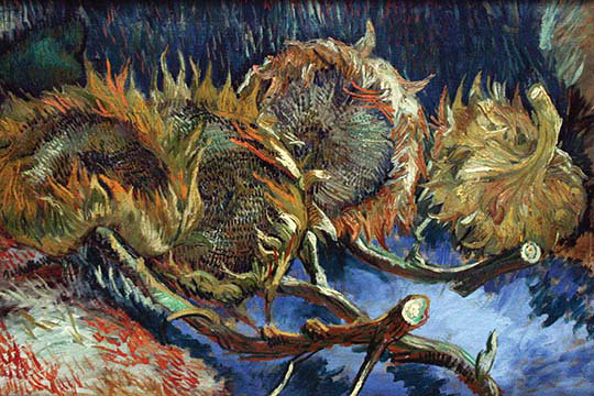 « quatre fleurs sont allées à seed » par vincent van gogh, reproduction d’art, H 28 po x l 42 po x P 1,5 po