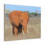 No Frame Print on Canvas-1211295881