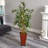 54'' Faux Bamboo Tree in Wood Planter