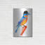 «Lord Bird» par Robert Farkas-1220557667