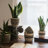 Bertans Handmade Pot Planter-678478953