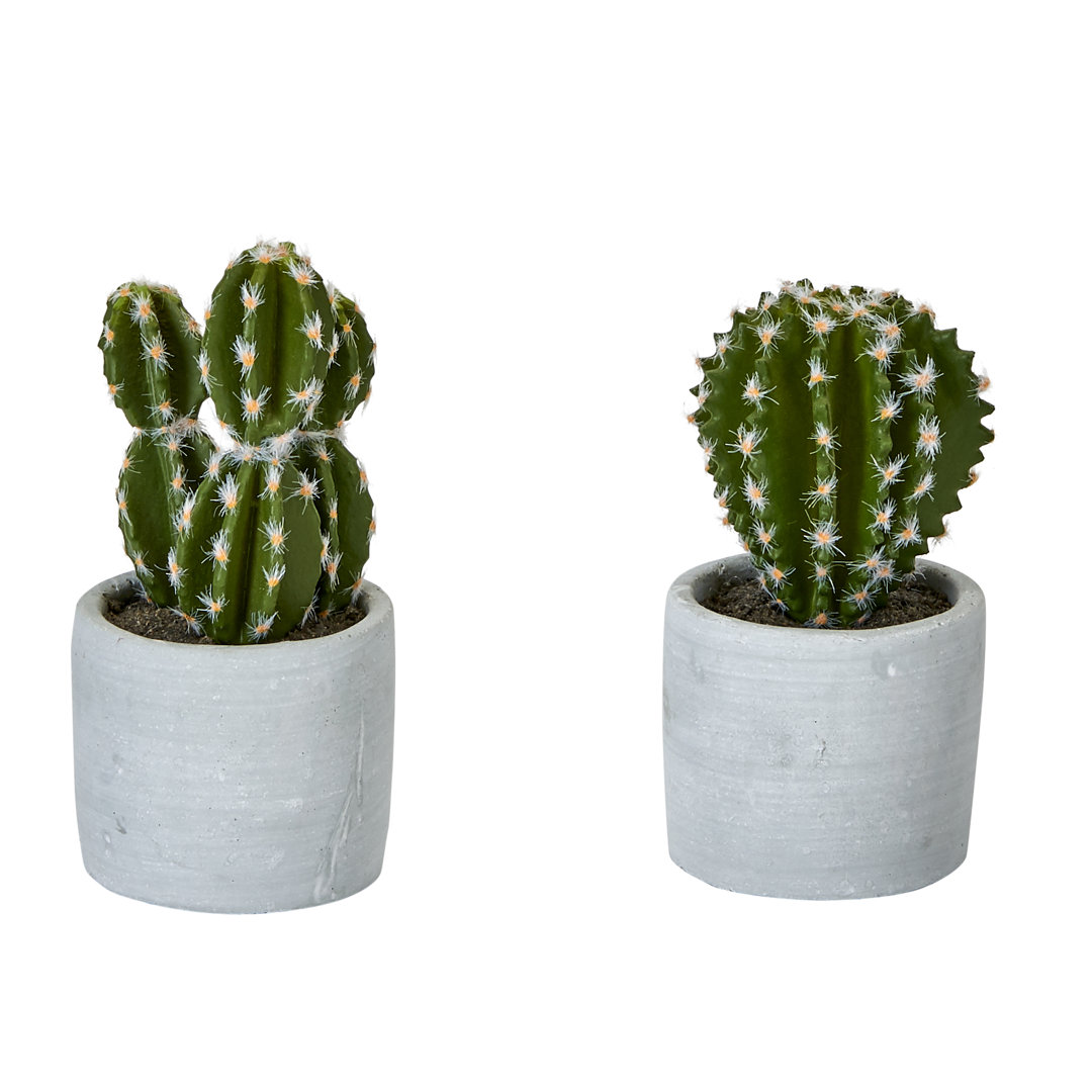 4'' Faux Succulent Plant in Cement Pot (Set of 2) Primrue