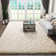 Cream White Fluffy Area Rug - Ultra Soft Shag Rug for Living Room, Bedroom, Holiday Decor, Non-Slip Plush Carpet for Modern Home