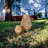 13'' Battery Powered Integrated LED Jar Lantern