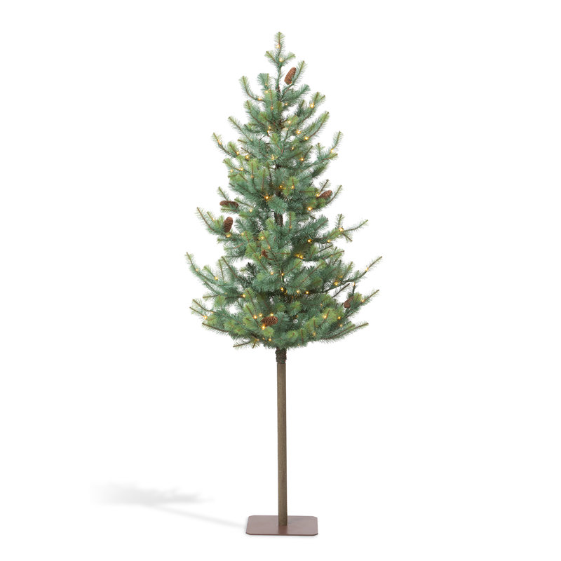 Blue Spruce Alpine Tree, 84", 7' H