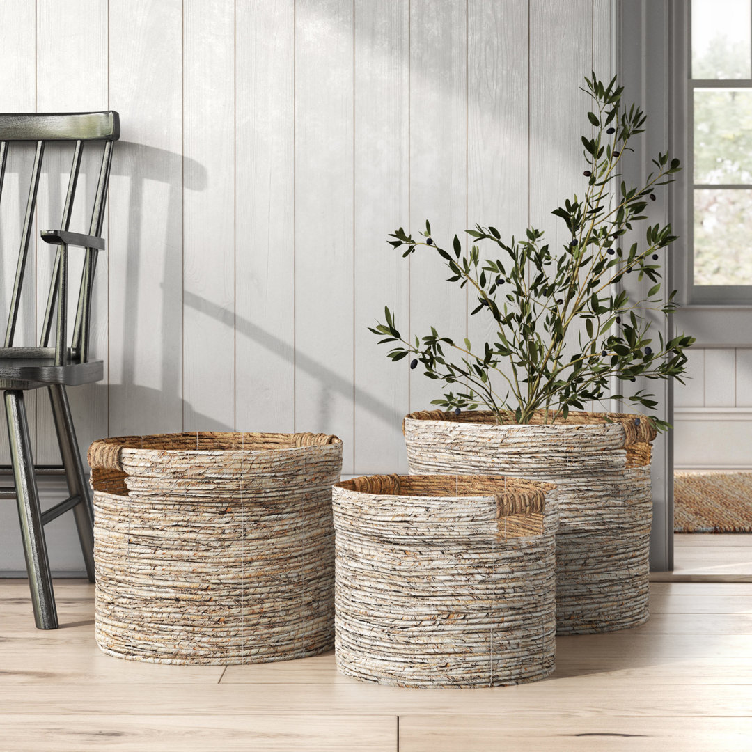 Rosecliff Heights Wicker Decorative Basket Rosecliff Heights