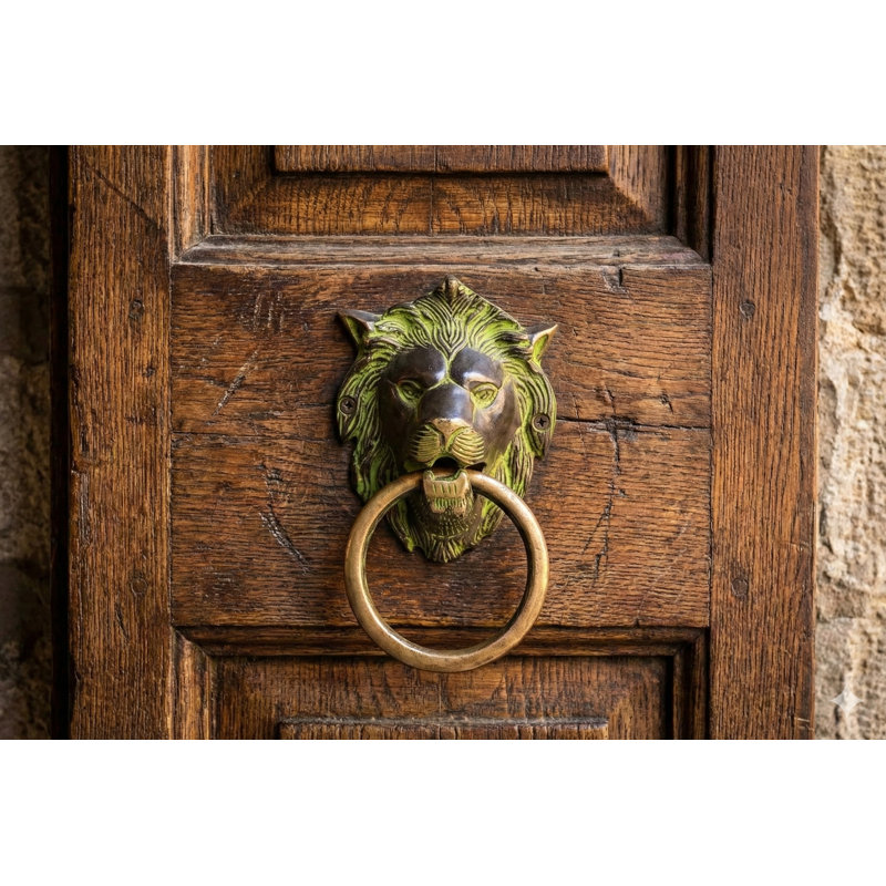 Antique Green Patina Brass Lion Head Door Knocker - Handcrafted Traditional Indian Style Front Door Hardware with Ring Handle for Home Entrance Decor