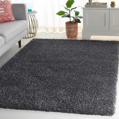 Delane Dark Gray Area Rug