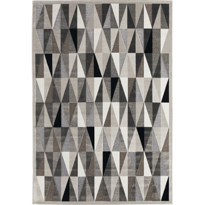 Joey Geometric Hand Woven Area Rug