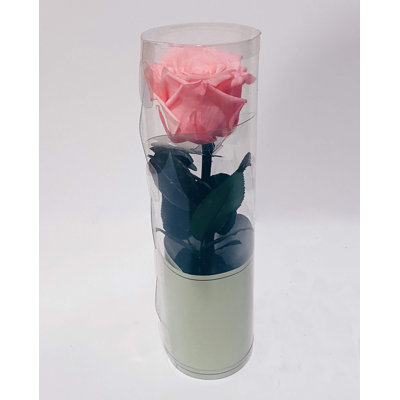 Preserved Natural Rose Rose Arrangement in Pot