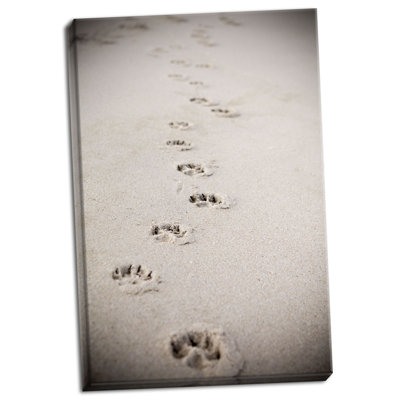 " Paw Prints " by Karyn Millet