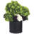 19 " H Faux Plant