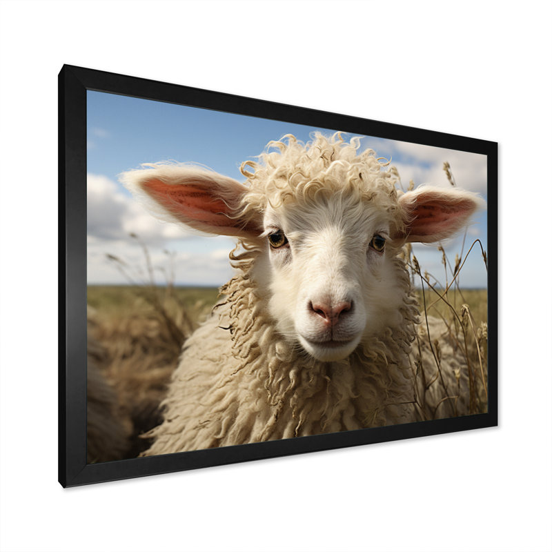 Sheep Portrait II - Animals Wall Art Living Room, H 30 po x l 40 po x P 1,5 po, Cadre photo noir