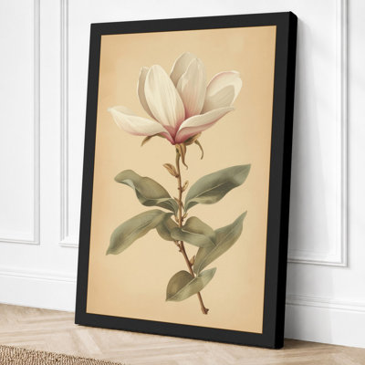 Magnolia in Bloom Botanical - Wrapped Canvas