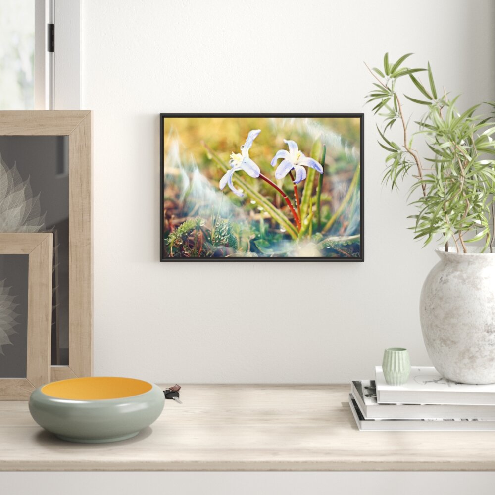 Gerahmtes Wandbild Kleine Lila Waldblume