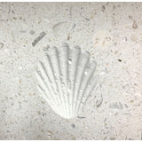 6" x 6" SeaStone Decoartive Accent Tile in White