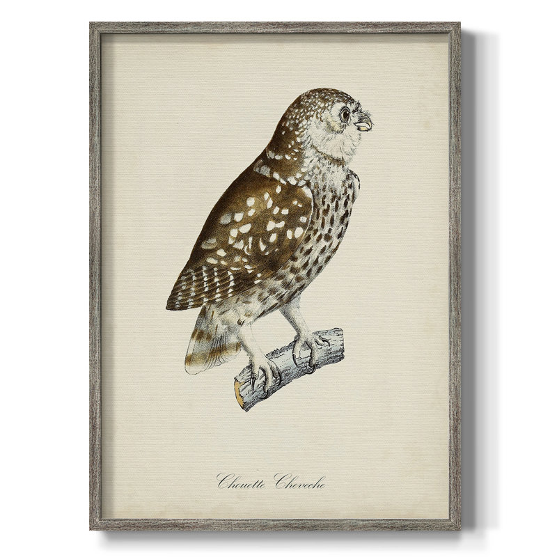«French Owls I», reproduction encadrée - bois massif, H 21 po x l 17 po