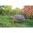 Turtle Statue