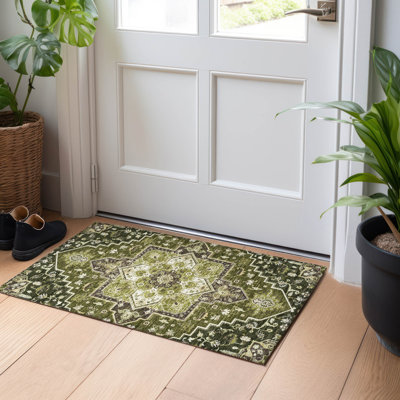 Machine Washable Indoor/Outdoor Chayden ACN1036 Rug