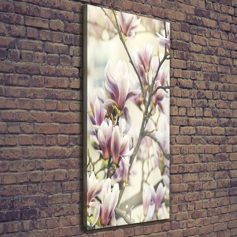 Magnolia - Wrapped Canvas Print