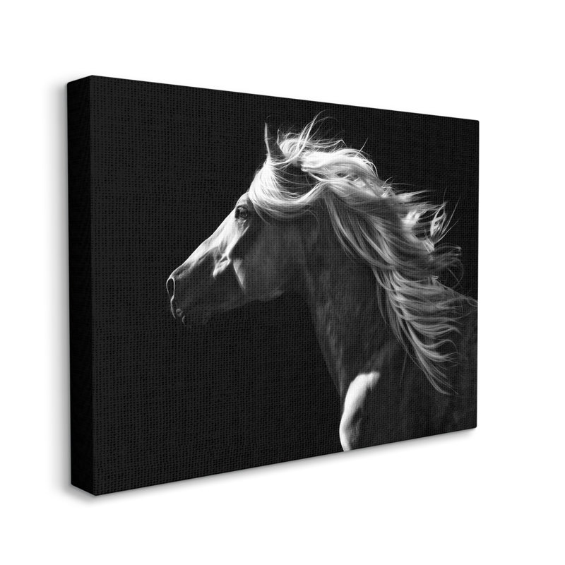 «Windblown Stallion Mane» sur toile par PHBurchett, H 16 po x l 20 po x P 1,5 po