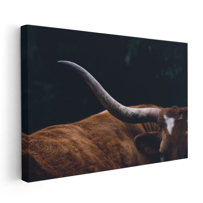 Texas Longhorn Cow Close Up - Canvas Print Wall Art, 32" H x 48" W