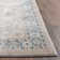 Ottley Performance Oriental Rug