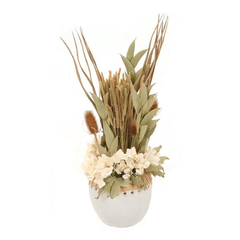 Arrangements floraux d'hortensias en pot