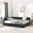 Upholstered Daybed With Backrest, Armrest, And Storage Drawers-1195906157