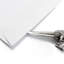 Velociraptor Letter Opener