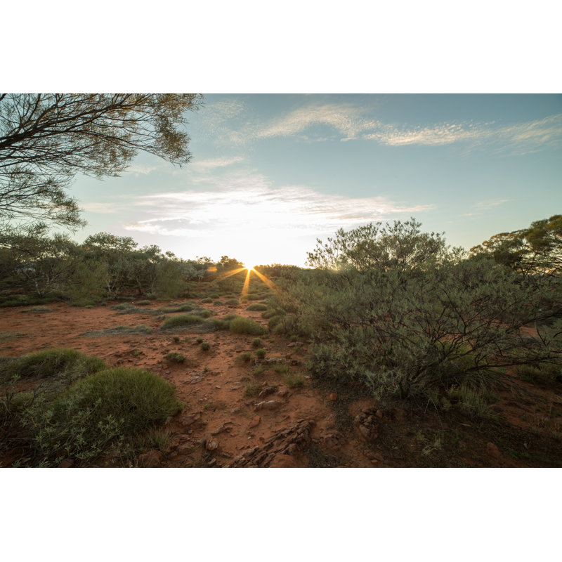 Beautiful Sun Setting Down by Swissmediavision - Print, 61cm H x 91cm W