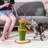 Carree 31.5 " H Cat Scratching Post