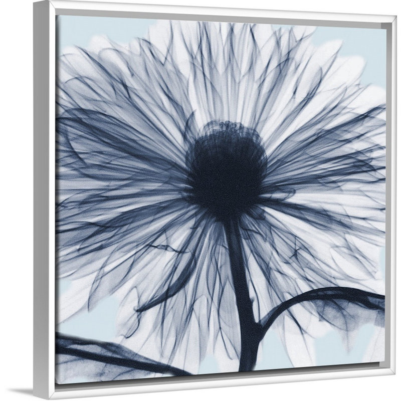 «Chrysanthemum Blues» par Albert Koetsier - reproduction d'art sur toile, H 32 po x l 32 po x P 1,75 po, Cadre blanc