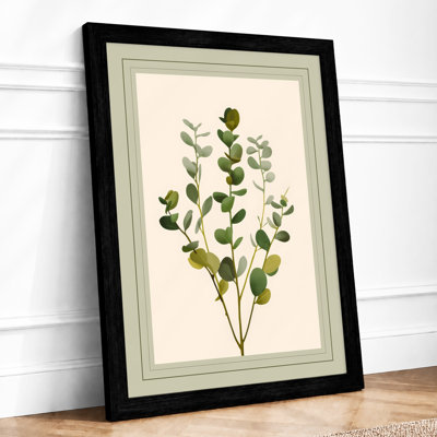 Specimen Study Botanical - Framed Print