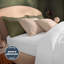 Silentnight Brushed Cotton Duvet Set-119338393-119338394
