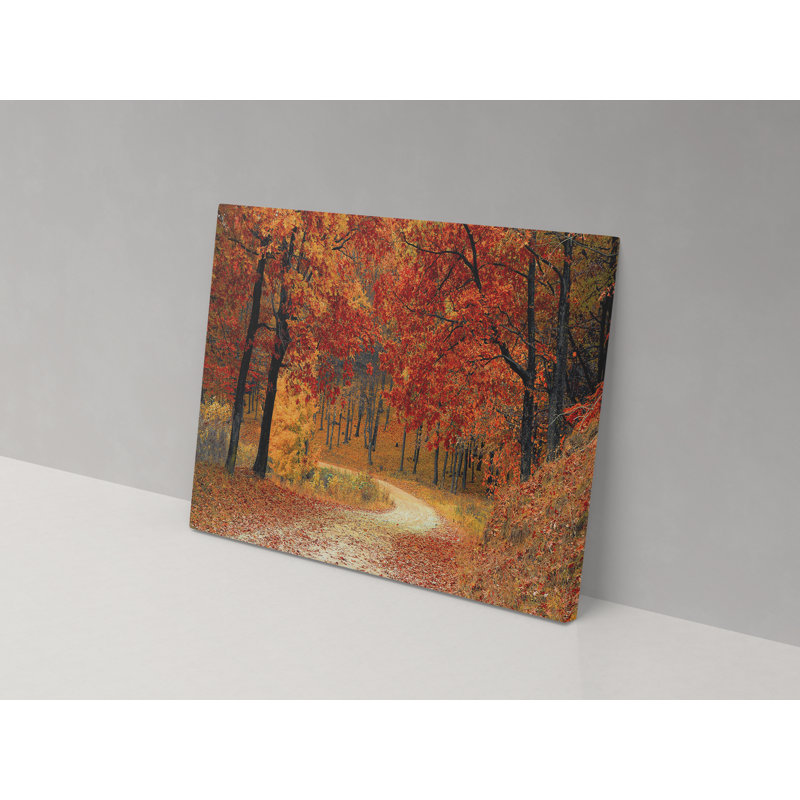 Autumnal Walk - Wrapped Canvas Print, 82cm H x 123cm W x 4cm D