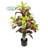 Real touch Artificial Croton Tree in Pot-519745764