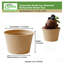 Tasse à portion compostable EcoQualité 4Oz sans couvercle - Condiments et échantillons Soufflé jetable biodégradable à portion unique - Pour les restaurants, la restauration et les mets à emporter (2500)